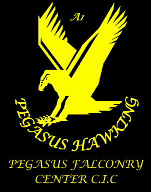 Pegasus logo_full